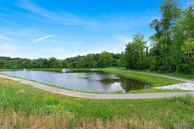 310 Rose Branchlet Court, Wentzville, MO 63385