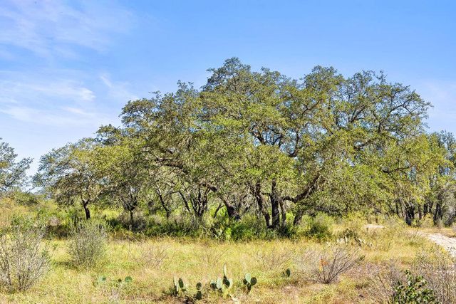TBD Pedernales Canyon, Spicewood, TX 78669
