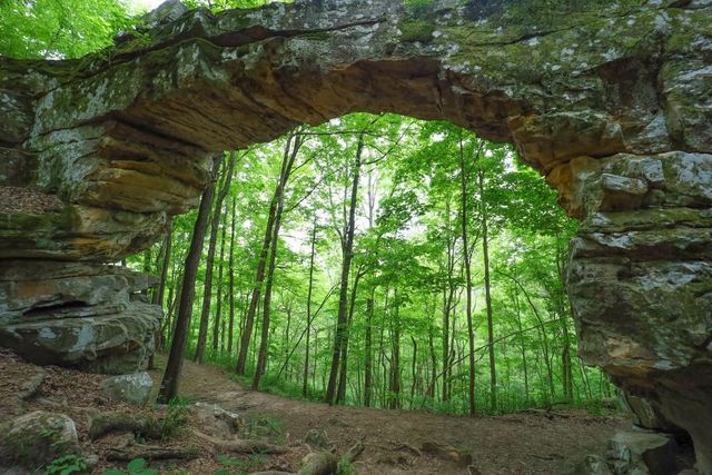 58 Laurels Trails Rd, Monteagle, TN 37356