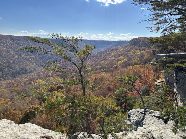 58 Laurels Trails Rd, Monteagle, TN 37356