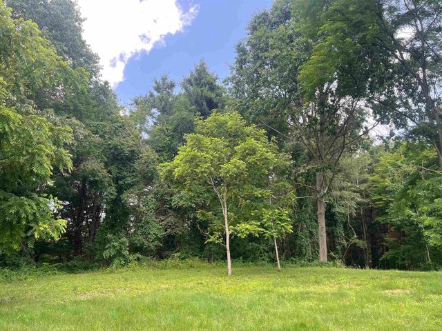 0 Donna Lane, Dryden, MI 48428