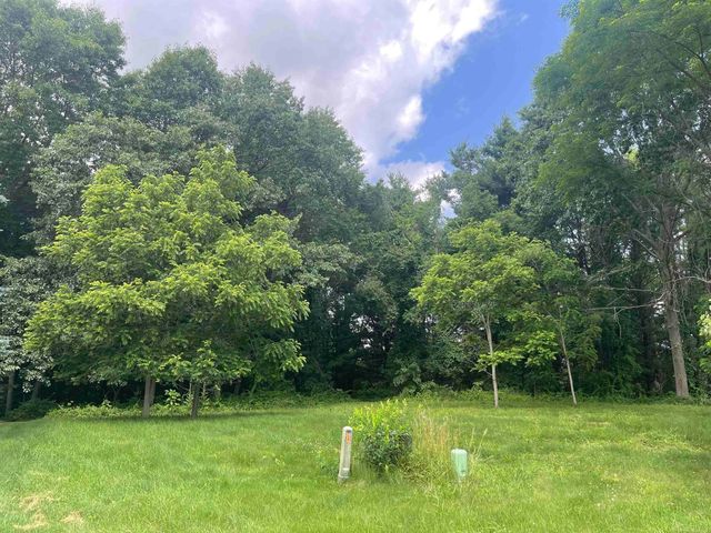 0 Donna Lane, Dryden, MI 48428