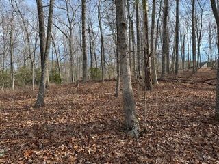 Lot 48 Old Mill DR, Hardy, VA 24101