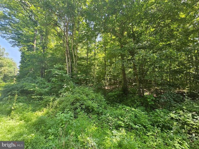 JACKS SHOP RD, Madison, VA 22727