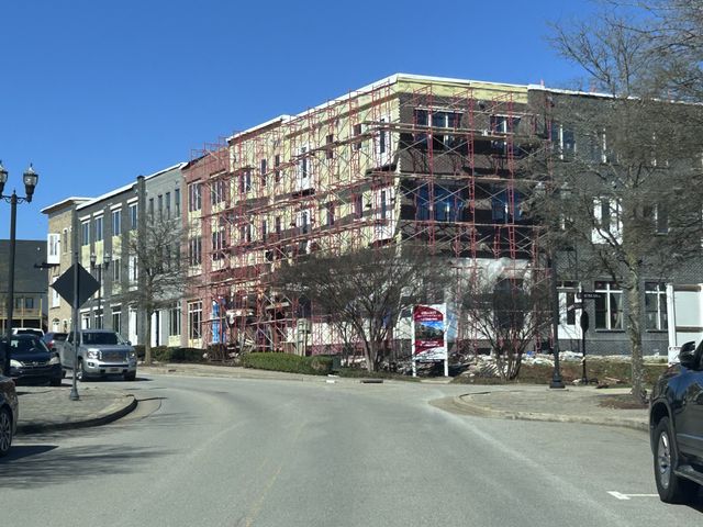 2060 Tollgate Blvd Unit 317, Thompsons Station, TN 37179