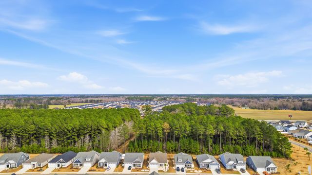 2175 Gooseberry Way, Longs, SC 29568