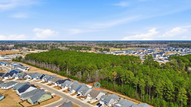 2175 Gooseberry Way, Longs, SC 29568