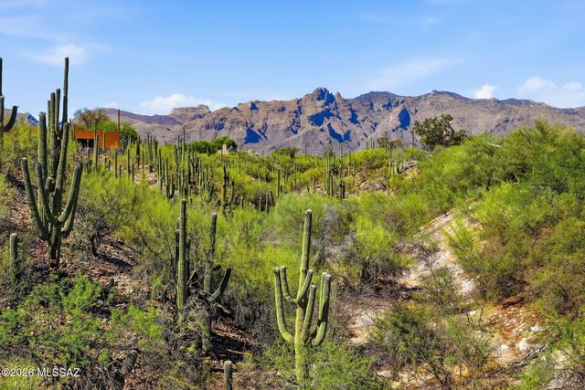 1979 E Campbell Terrace, Tucson, AZ 85718