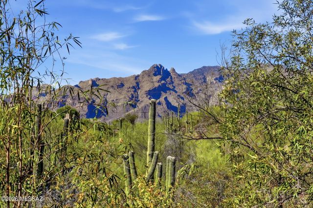 1979 E Campbell Terrace, Tucson, AZ 85718