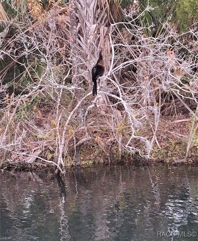 1115 SE 5th Avenue, Crystal River, FL 34429