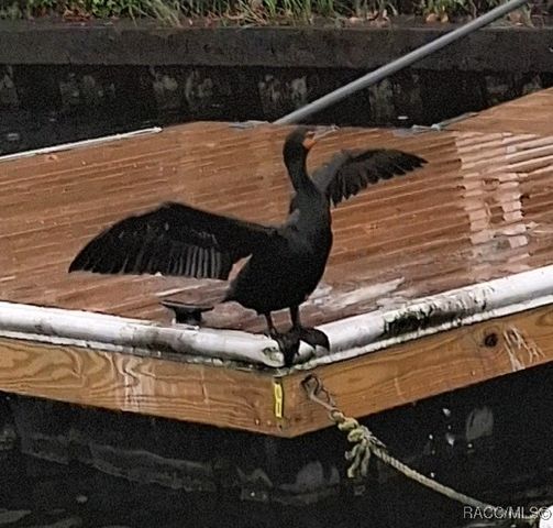 1115 SE 5th Avenue, Crystal River, FL 34429