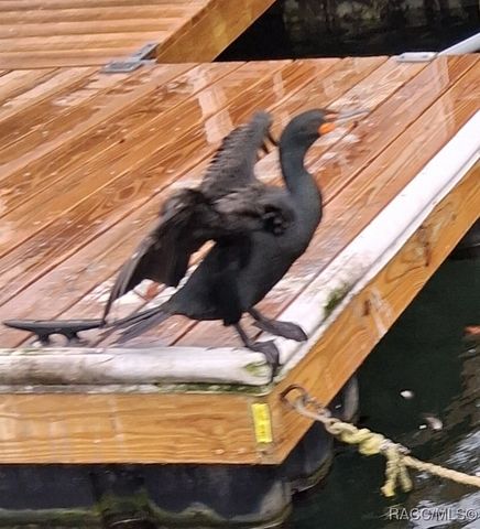 1115 SE 5th Avenue, Crystal River, FL 34429