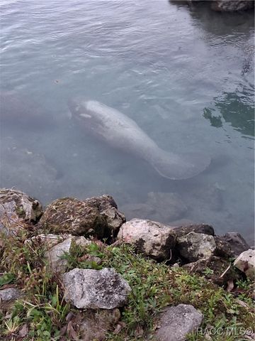 1115 SE 5th Avenue, Crystal River, FL 34429