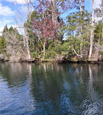 1115 SE 5th Avenue, Crystal River, FL 34429