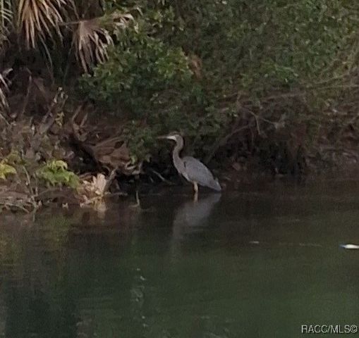 1115 SE 5th Avenue, Crystal River, FL 34429