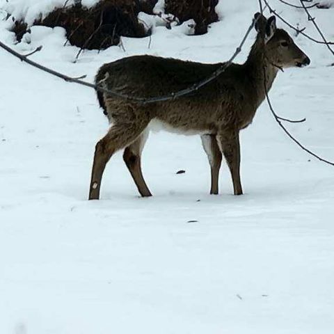 1713 E Howard Drive, Edgerton, WI 53534