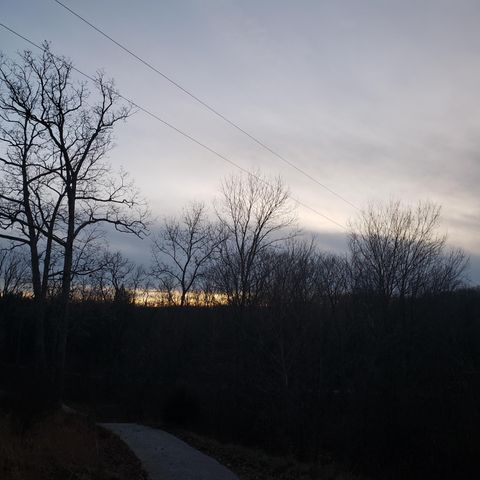 2268 Severs Road, Seymour, MO 65746