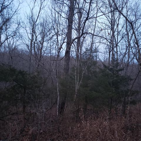 2268 Severs Road, Seymour, MO 65746