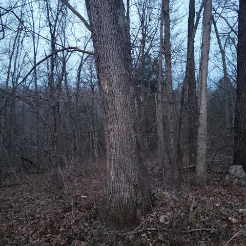 2268 Severs Road, Seymour, MO 65746
