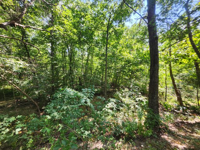 2268 Severs Road, Seymour, MO 65746