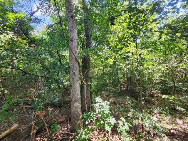 2268 Severs Road, Seymour, MO 65746