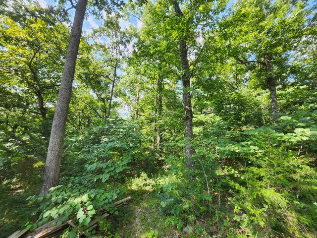 2268 Severs Road, Seymour, MO 65746