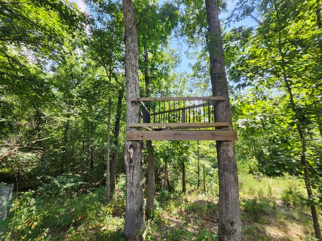 2268 Severs Road, Seymour, MO 65746