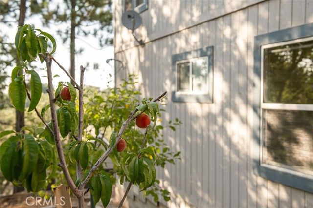 1477 Sequoia Drive, Lake Arrowhead, CA 92352