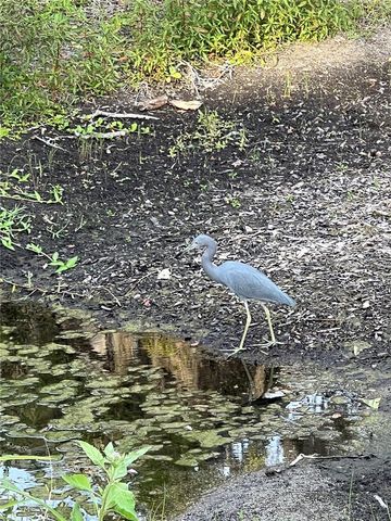 10355 CARROLLWOOD LANE 143, Tampa, FL 33618