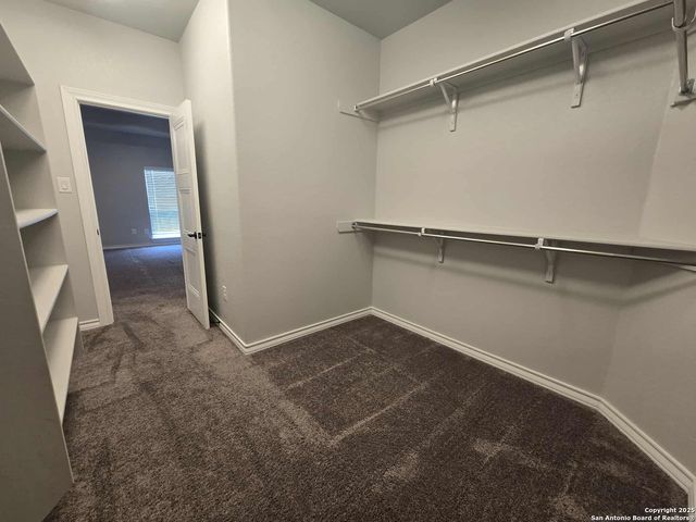 8710 Kallison Arbor, San Antonio, TX 78254