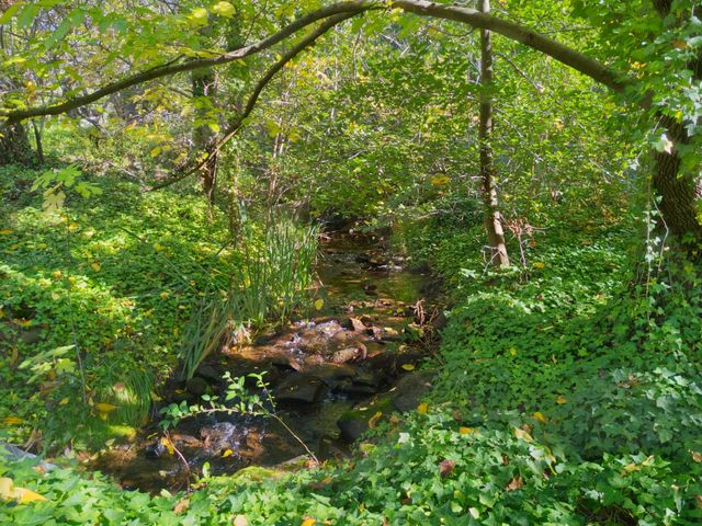 8436 Wise Rd, Auburn, CA 95603