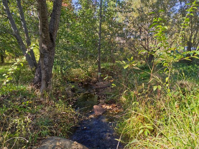 8436 Wise Rd, Auburn, CA 95603