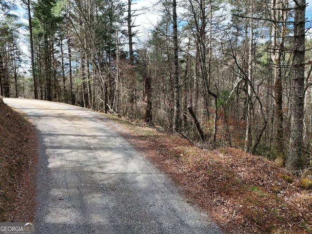 LOT 44B Synacia Drive, Mineral Bluff, GA 30559