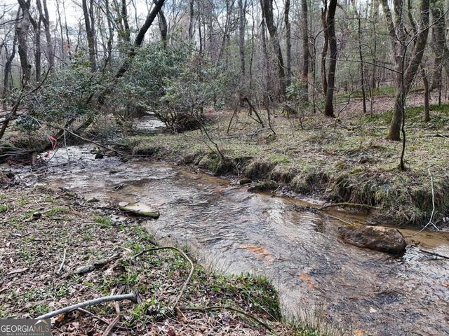 LOT 44B Synacia Drive, Mineral Bluff, GA 30559