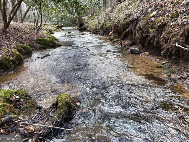 LOT 44B Synacia Drive, Mineral Bluff, GA 30559