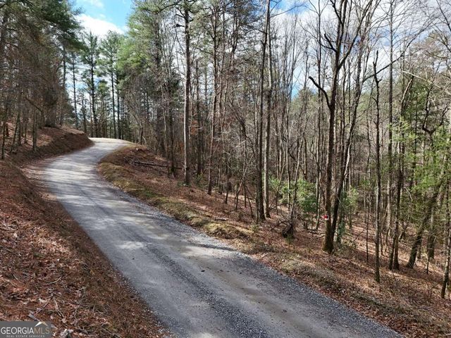 LOT 44B Synacia Drive, Mineral Bluff, GA 30559