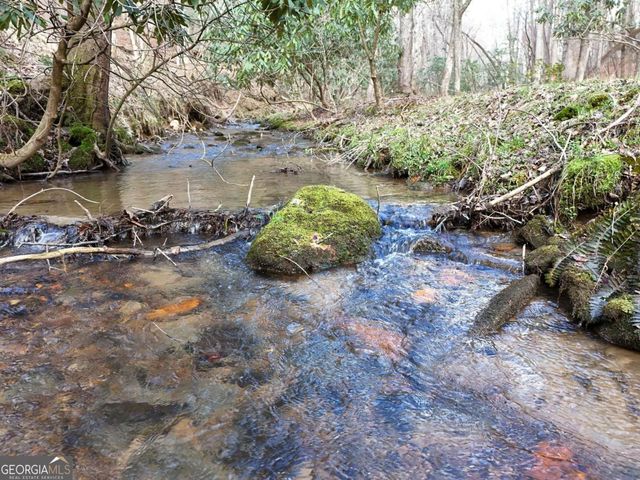 LOT 44B Synacia Drive, Mineral Bluff, GA 30559