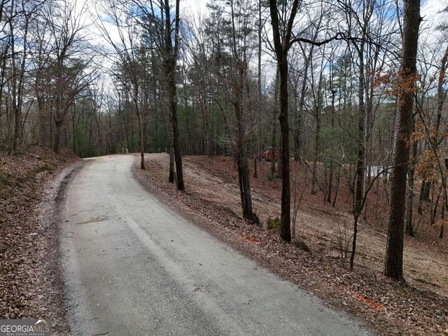 LOT 44B Synacia Drive, Mineral Bluff, GA 30559