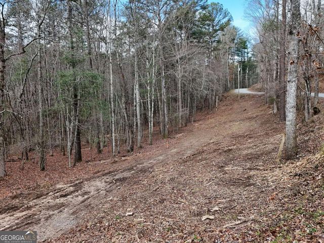 LOT 44B Synacia Drive, Mineral Bluff, GA 30559