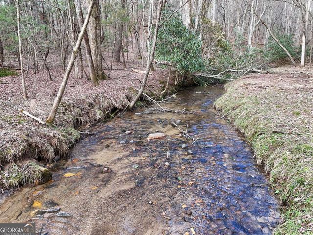 LOT 44B Synacia Drive, Mineral Bluff, GA 30559
