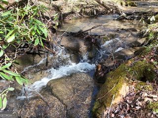 LOT 44B Synacia Drive, Mineral Bluff, GA 30559