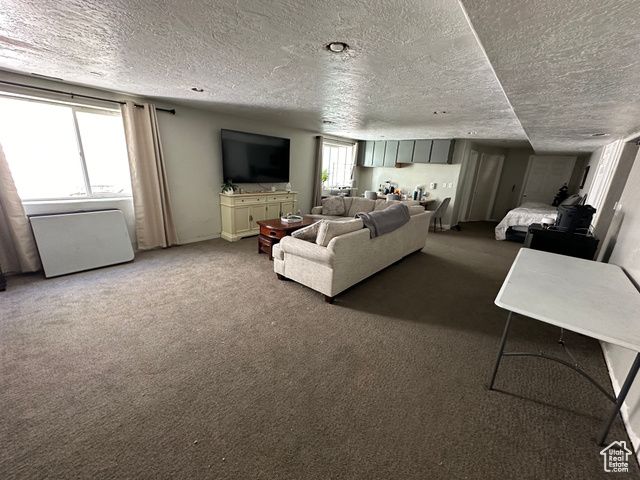 15095 S ALDER LN, Draper, UT 84020
