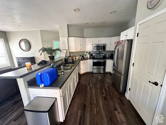 15095 S ALDER LN, Draper, UT 84020