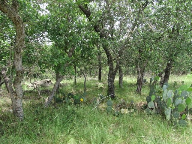 3210 Captains Cove, May, TX 76857