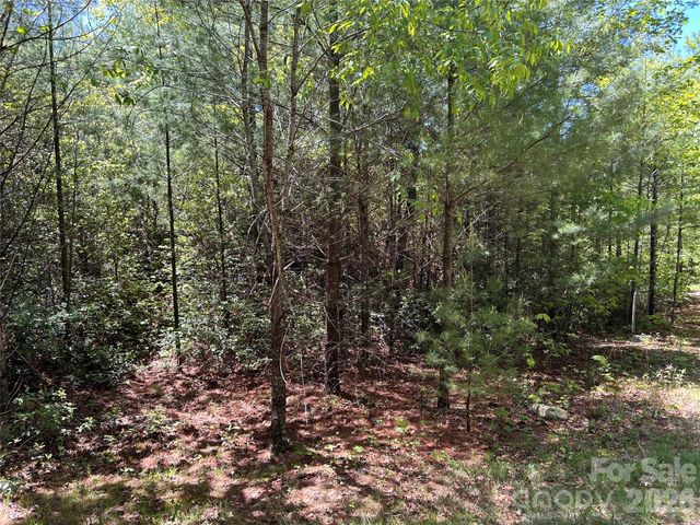 1054 Hawk Mountain Road, Lake Toxaway, NC 28747