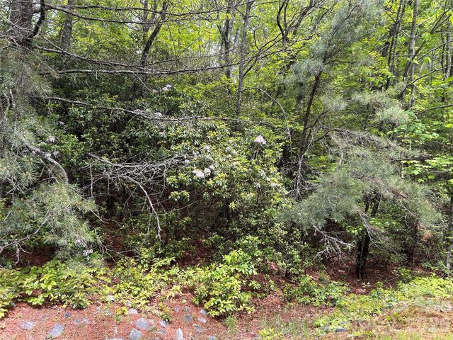 1054 Hawk Mountain Road, Lake Toxaway, NC 28747