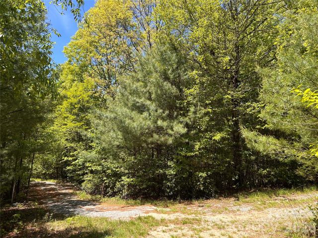 1054 Hawk Mountain Road, Lake Toxaway, NC 28747