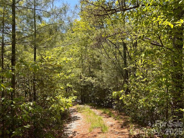 1054 Hawk Mountain Road, Lake Toxaway, NC 28747