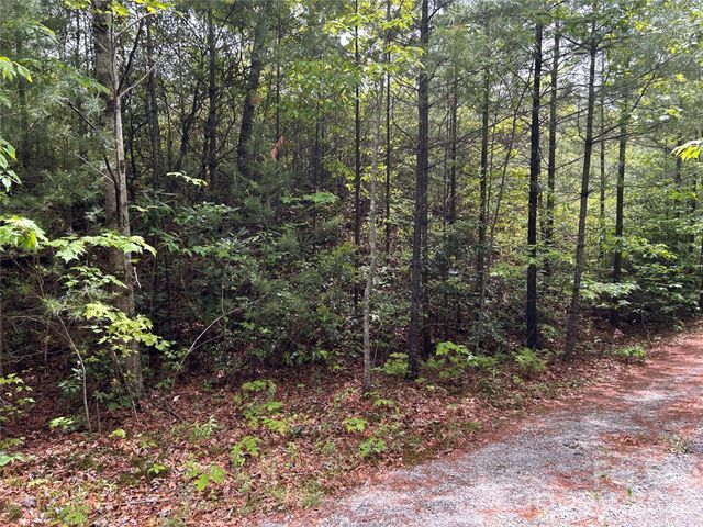 1054 Hawk Mountain Road, Lake Toxaway, NC 28747
