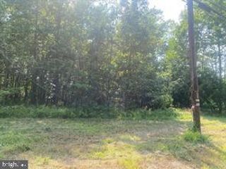 MCKINNEY BOULEVARD, Colonial Beach, VA 22443
